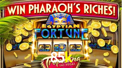 Live Casino 85k
