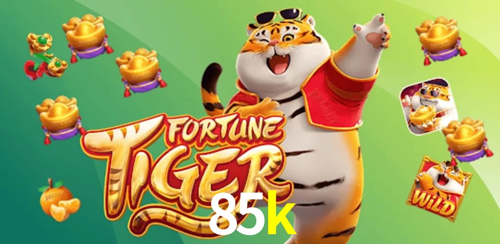 Experiência VIP 85k